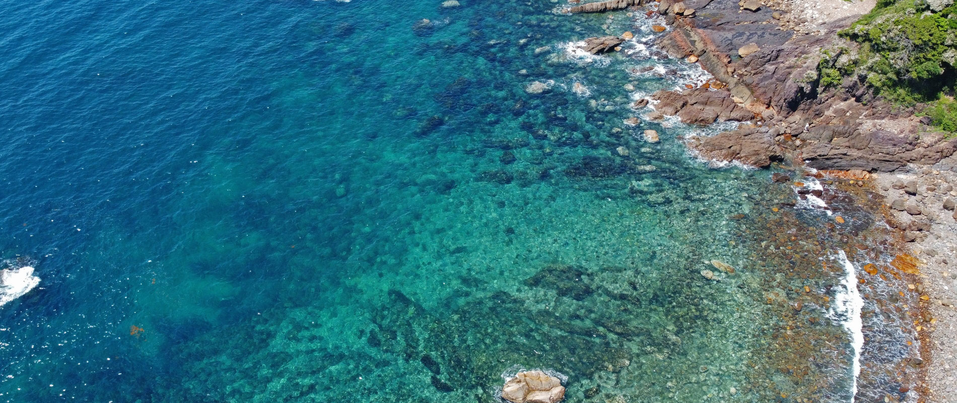 海洋散骨・粉骨・手元供養